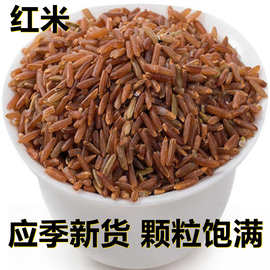 新鲜红米红糙米500克/1斤 产地直供应季新货颗粒饱满 搭配杂粮粥