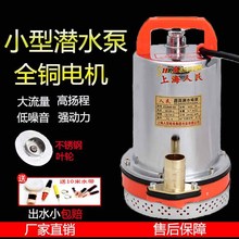 上海人民直流潜水泵12v24v48v60v72电动电瓶车家用小型高