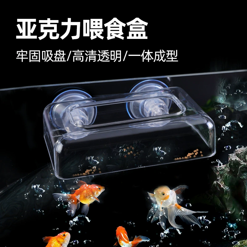 Новая модель 2026 года: прозрачный акриловый кормушник для аквариума с фиксированным точечным кормлением, предотвращающий разброс корма, кормушка-кольцо