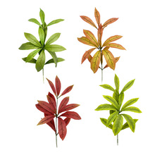 仿真植物楠木叶家居装饰假楠木树叶绿植婚庆道具仿真金丝楠木树叶