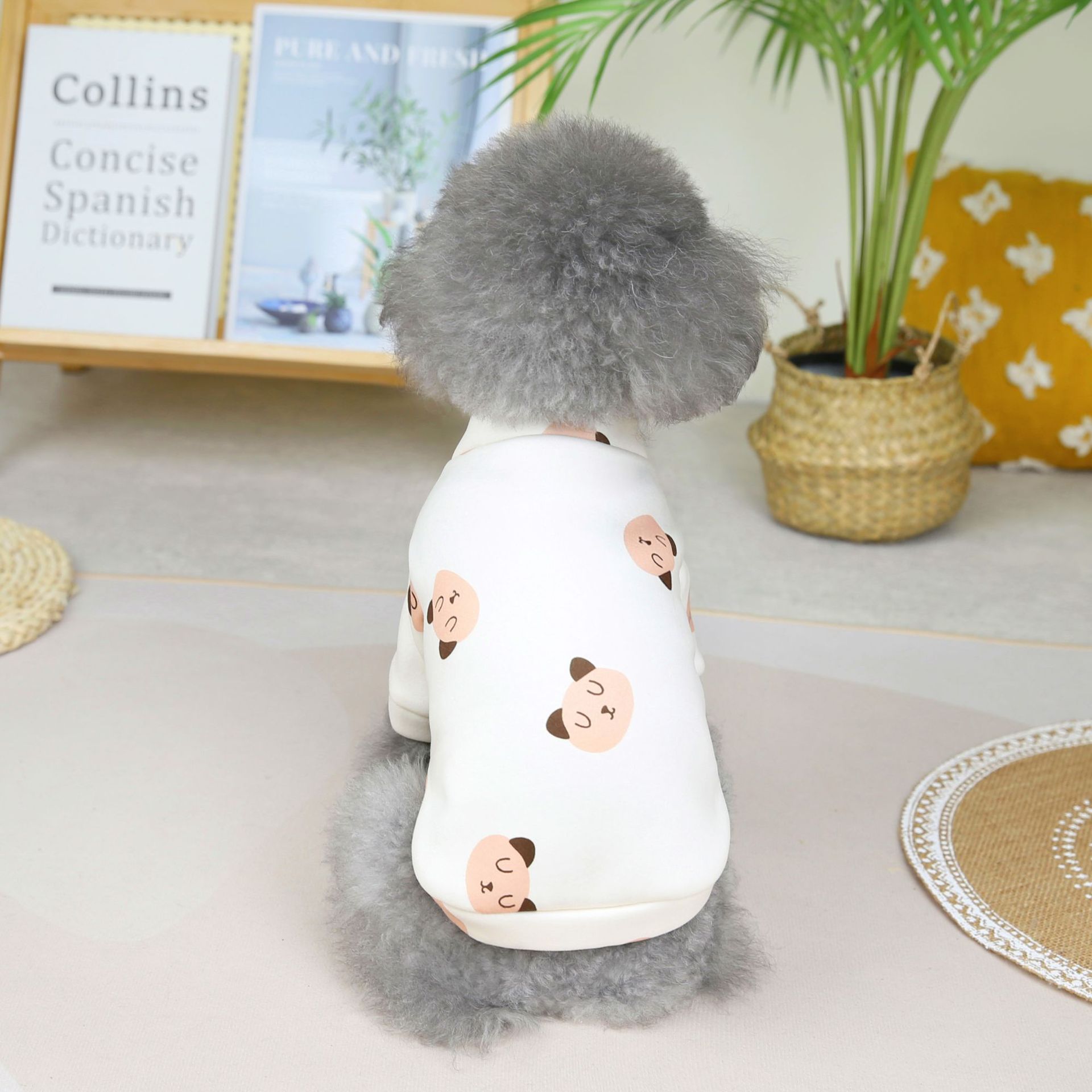 2022大头熊小卫衣