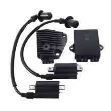 Motorcycle igniter is suitable Alovlandırıcı (Vozduşka/İqniter) - xv250-set-of-igniter