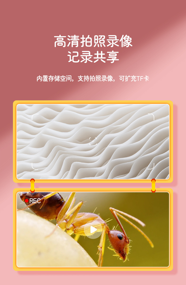 385中文详情页_06
