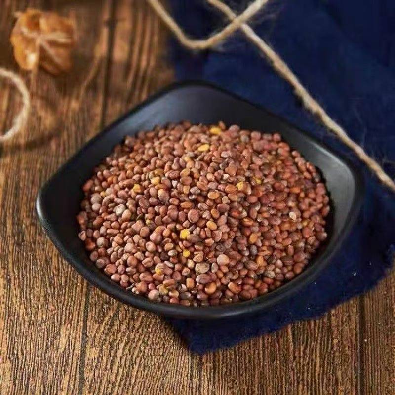 Lai Fu Zi (Raphanus sativus Seed) — Dried Radish Seed for Tea & Decoction in use