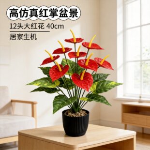 ����t���辰40cm�ٻ��Gֲ�bҾӻ�c�[���׾G����ɫ���xС����