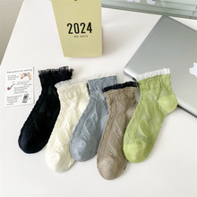 eĻyڰٽz߅ɭϵŮWԺLٴm͎m