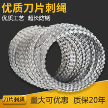 防盗防爬带刺铁丝网钢丝网围墙防锈刀刺丝刺护栏网铁蒺藜双股刺绳