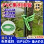高弹空心矮化植物果树