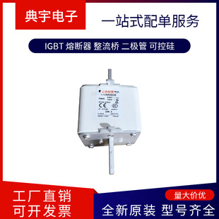 Fuse 170m6796 6797 6798 6799 6800 6801 6802 Complete Models