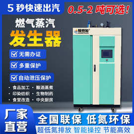 燃气蒸汽锅炉大型工业食品厂化工0.5-2吨暖特加超低氮蒸汽发生器