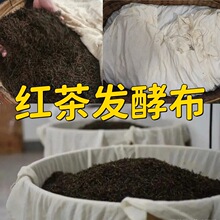 �t��l�Ͳ��׾��^�V�������������õ��޼�����t��Ƭ�۵����W