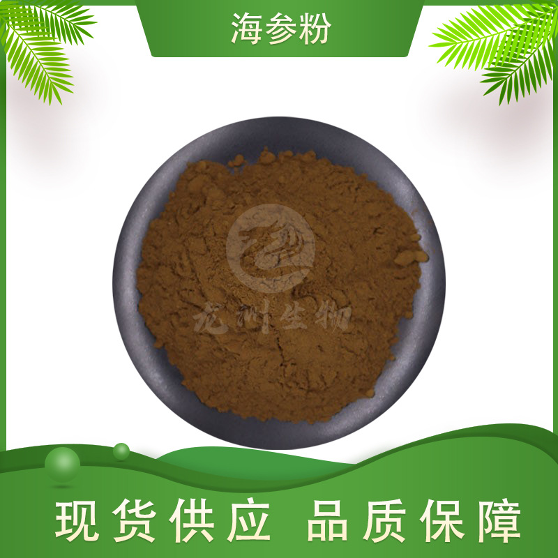 海参粉 龙洲生物 海参提取物 海参蛋白粉 量大从优  现货包邮