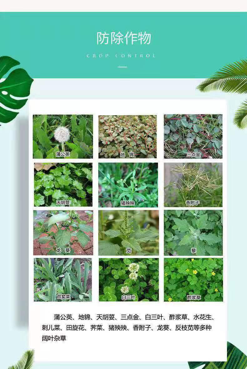 ΢ͼƬ_20210305150209