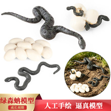 �羳���惺ͯ�J֪�̾���߄�����L���ھGɭ�����L�^��ģ���b�Ʒ