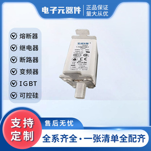170m1567 170m1564 Sufficient Inventory New Original Spot Fast Fuse Digital Components