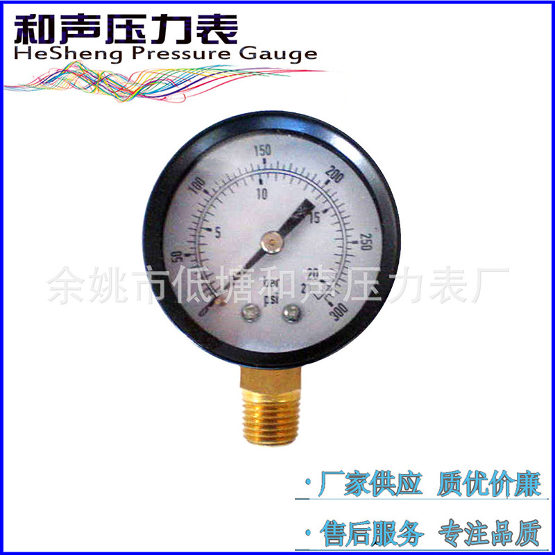 ����������ѹ��ˮѹ��Y50����160PSI����ѹ������ձ������