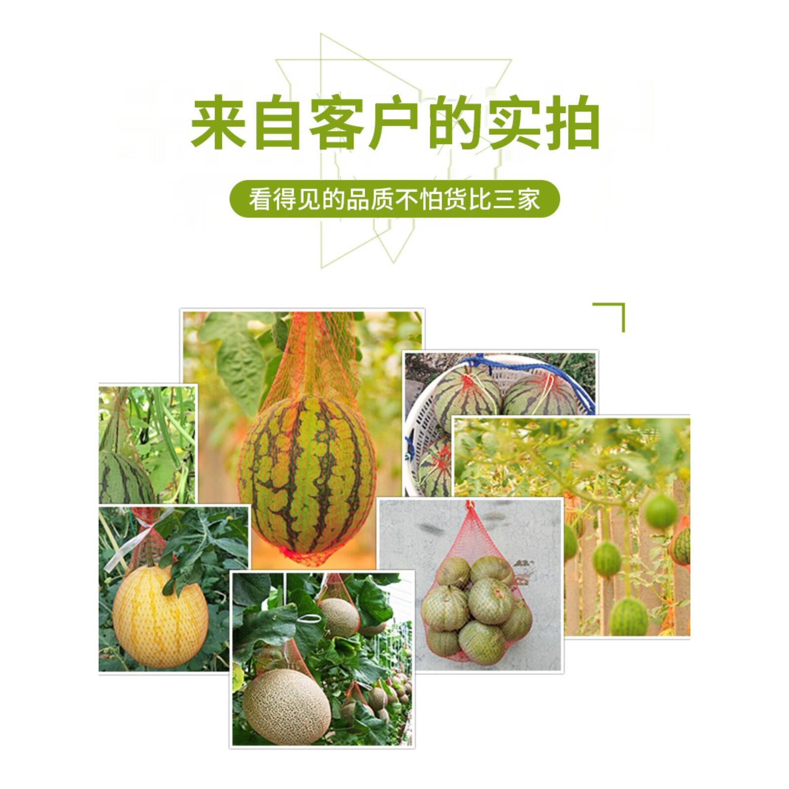 ◇批发加厚塑料网袋超市水果网兜装百香果板栗核桃小网眼编制网兜