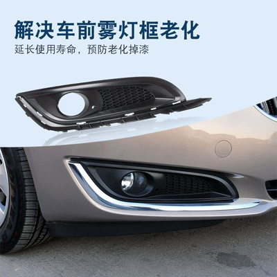 New Regal Gs Front Light frame