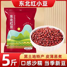 �u�в�5��|���t����؛�r���Ԯa�tС������s�Z��ɳ��С������