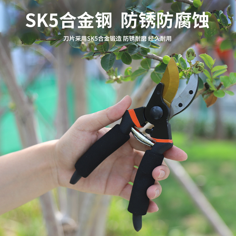 速卖通剪树枝剪刀专用花剪园艺园林修枝园丁剪嫁接强力采摘省力剪|undefined
