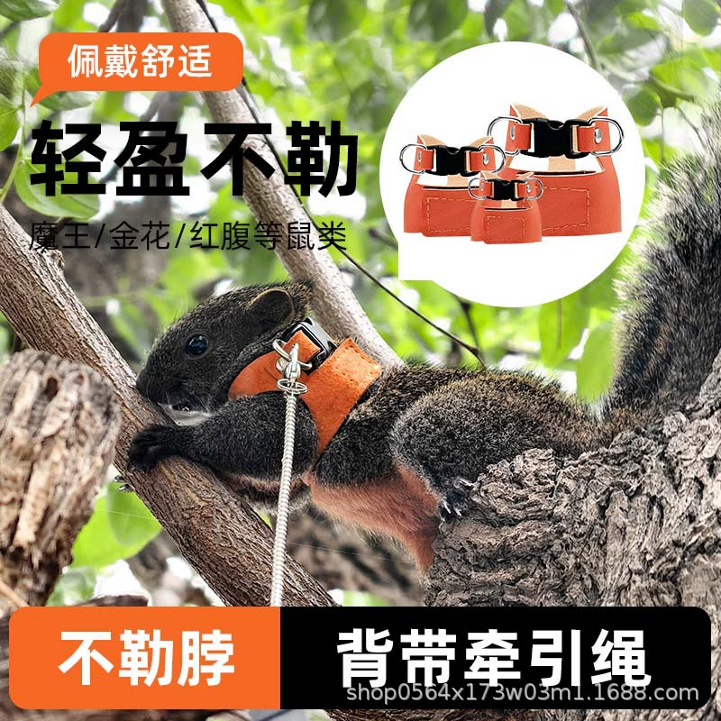 Поводок для белки, уличная веревка, защита от укусов, уличная веревка, защита от потери, защита от полета, защита от восхождения, игрушки для прогулок с белкой