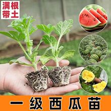 ������8424�������������������������������������������