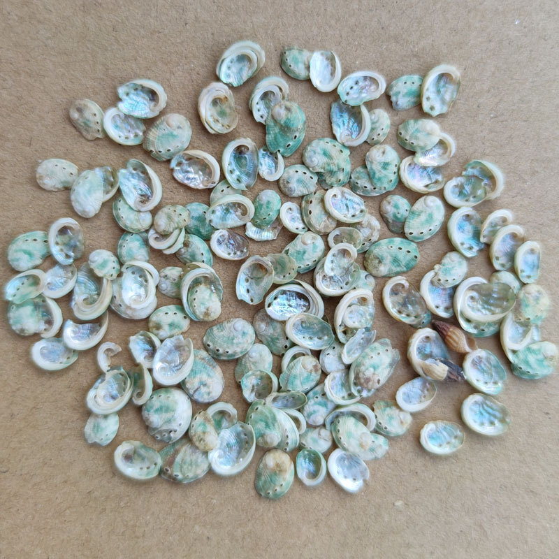 迷你鲍鱼贝主图3