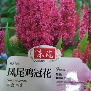 Դ�^�S�����l���N���N�ز˷N�ӹϹ���ș���ļ������̨ͥԺ�Ѵ�ȫ