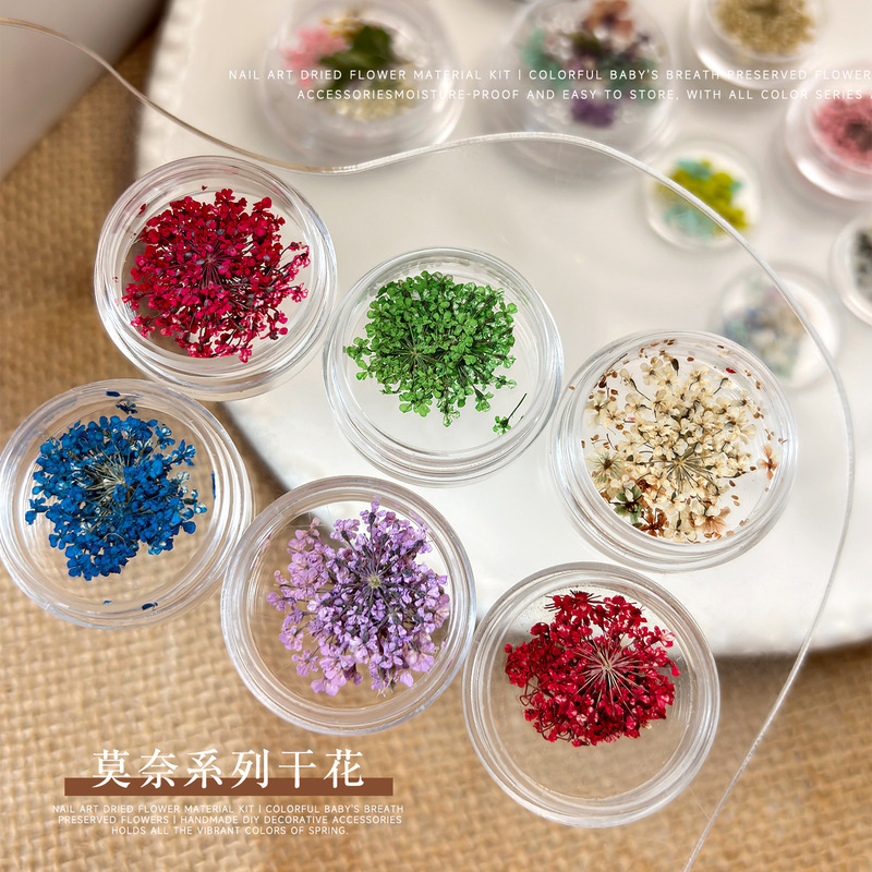 Nail Art Dried Flower Decorations Mixed Styles Spring Oil Painting Five-Petal Flowers Korean Style French Natural DIY Small Floral Nail Accessories Nail Art Dried Flower Decorations Mixed Styles Spring Oil Painting Five-Petal Flowers Korean Style French Natural DIY Small Floral Nail Accessories