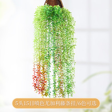 ����ֲ��5�^��ɫ�ȼ����촹��ڒ��b��ٗl�Gֲ���洹���������l