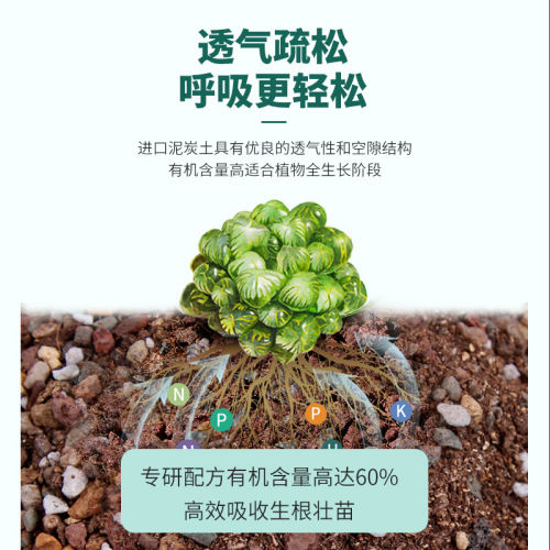 Manufacturer wholesales special nutrient soil for succulents, succulent granules, soil for household leaf cuttings, pavement planting, flower soil and plants