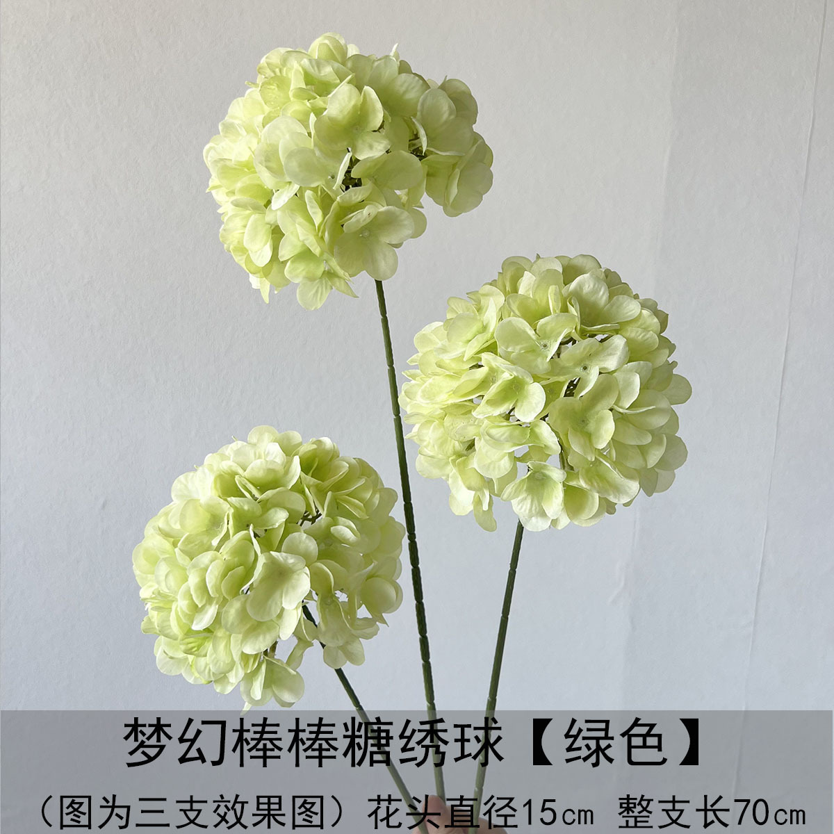 Hortensia de piruleta de ensueño - verde