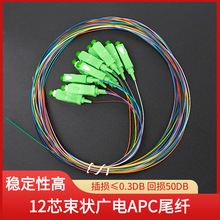 �V�12о����β�wSC/APC��ģ���w�����G���A�^FC/APC12ɫ�۽����w