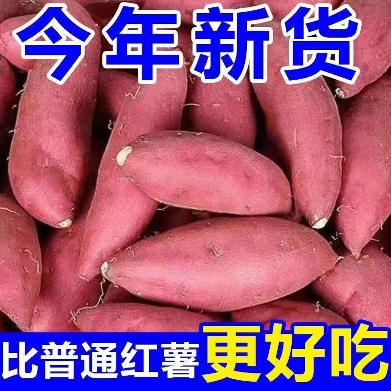 正宗沙地红心蜜薯红薯新鲜农家糖心番薯山芋批发包邮现挖现发地瓜|undefined