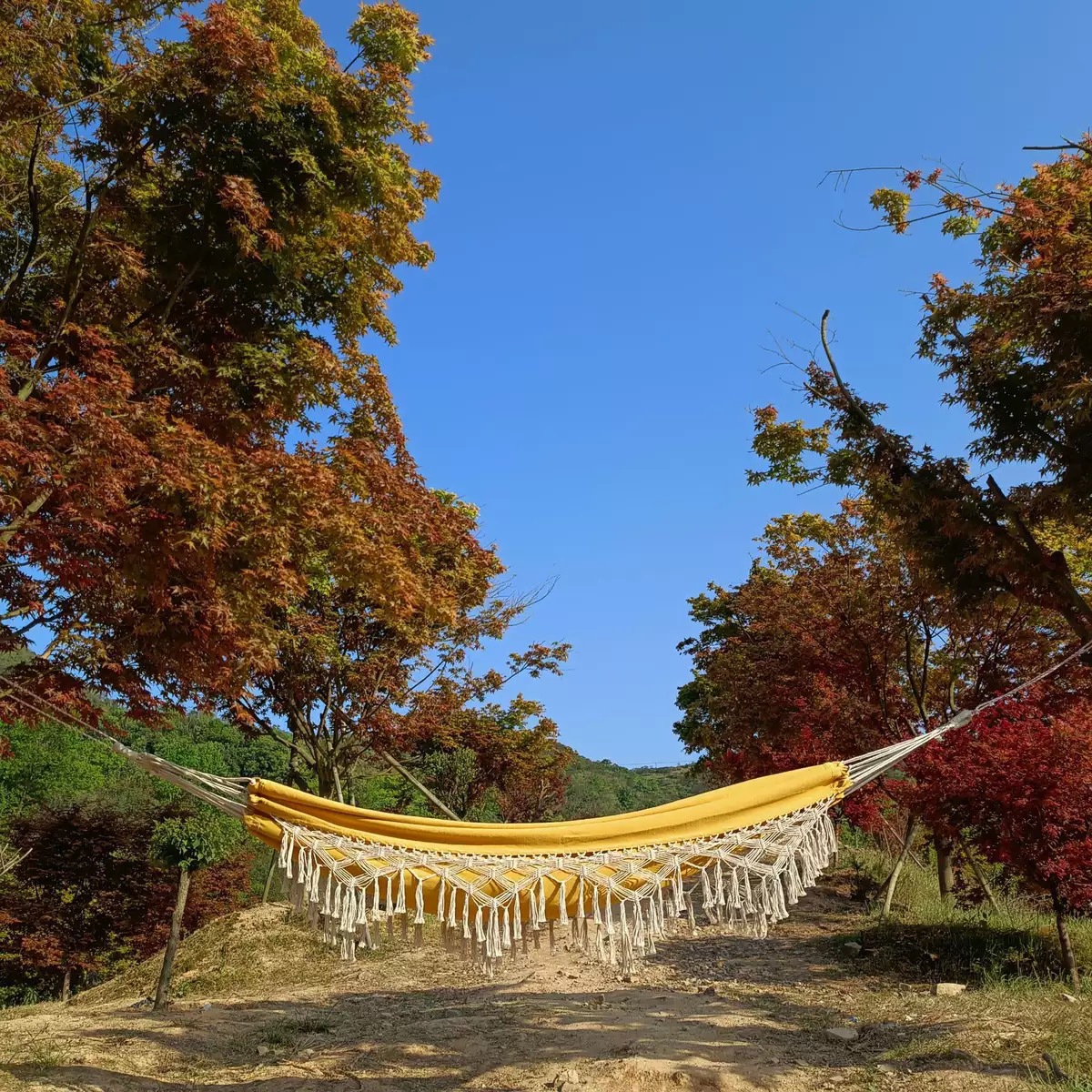 노란색