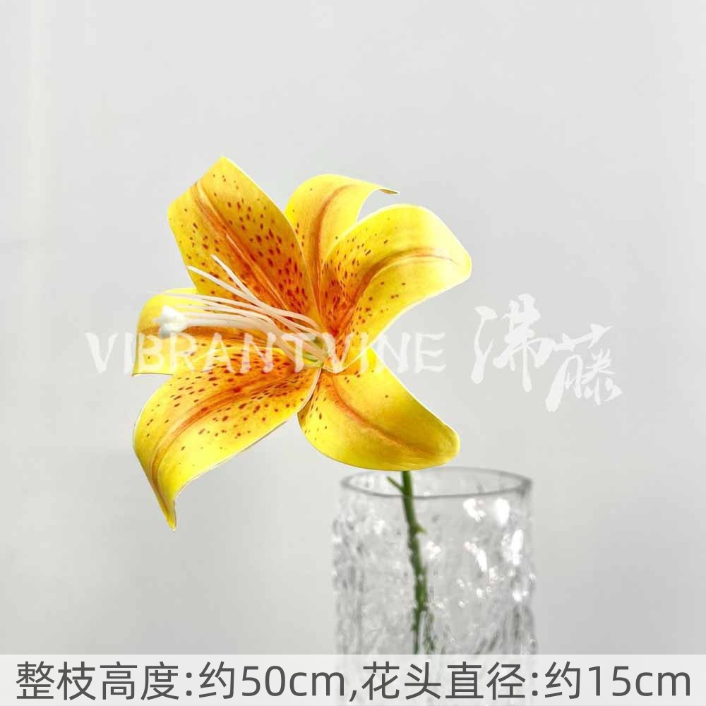 Yellow single lily