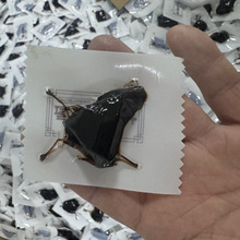 ��ʳ�S��250��ƿ�b����������Aɽ�S�������ŕ��S���������^�S��