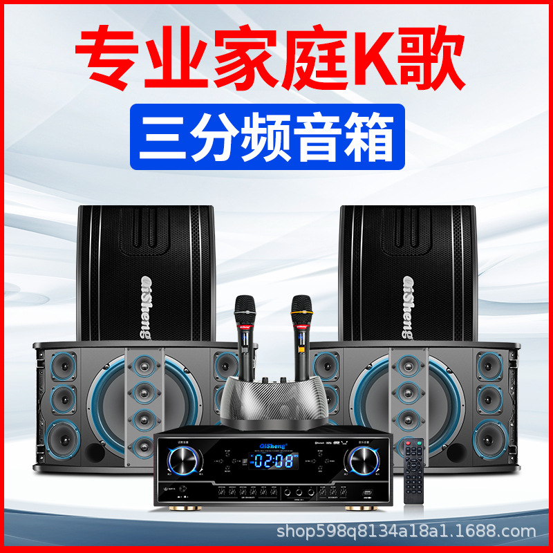 V23 speaker suit (without singing machine)