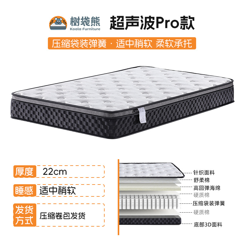 초음파 PRO 모델