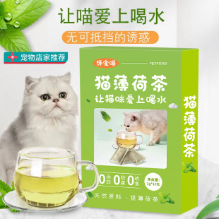 Cat Mint Tea для переваривания и содействия питьевой воде для регулирования эмоционального кошачьего монетного чай