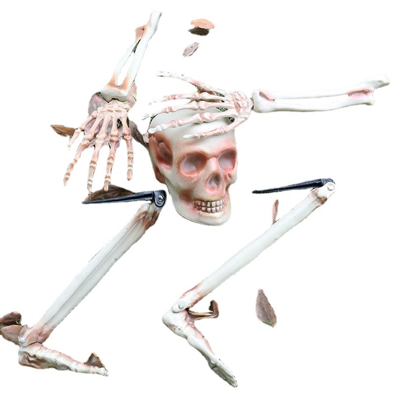 Conjunto de cinco piezas de calavera horror cráneo decoración bar habitación secreta accesorios de vestir
