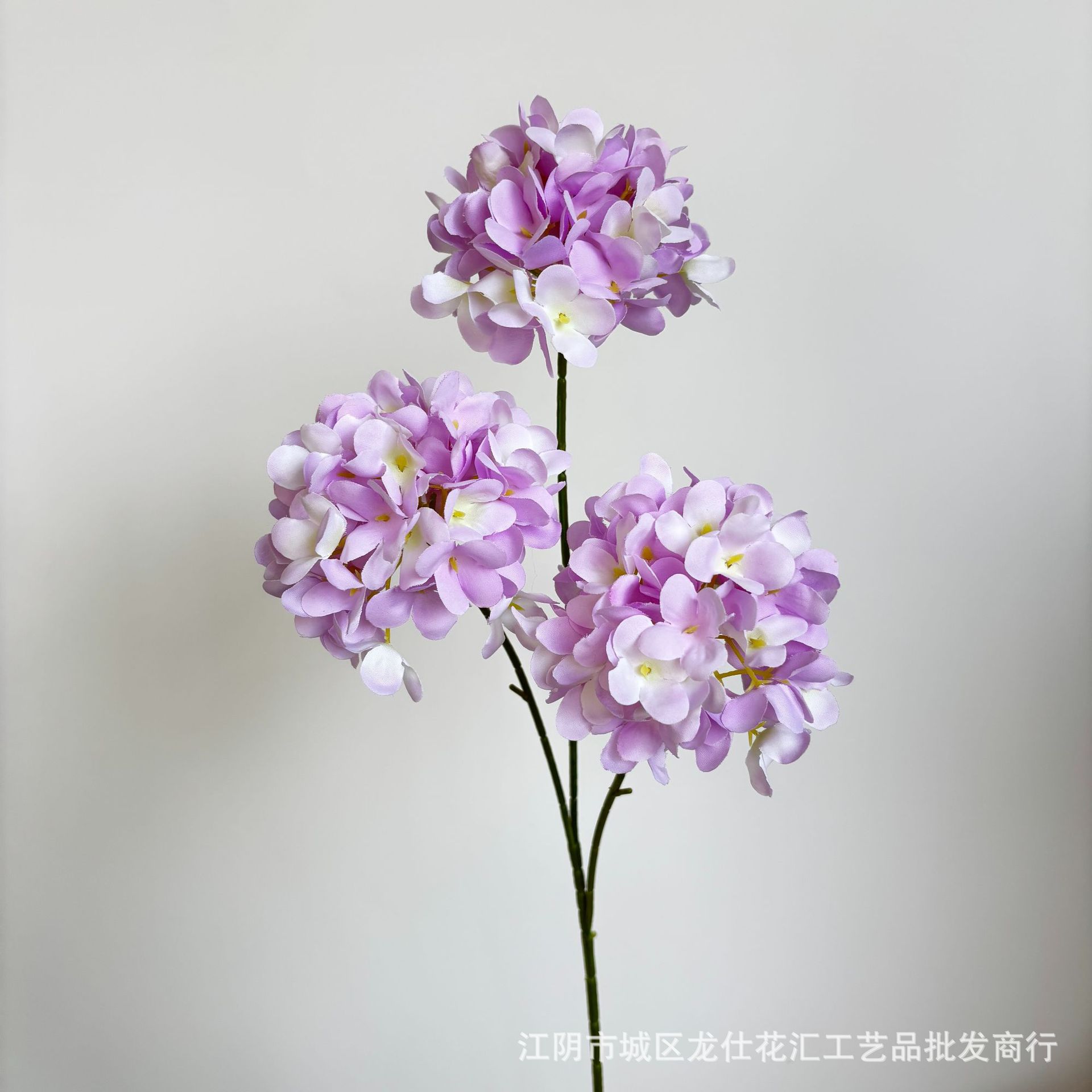 밝은 보라색