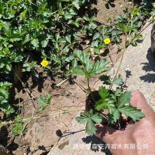 �޸����������o�²� ���~ί��� ���̻��ܾG�����~���~ί��˹���