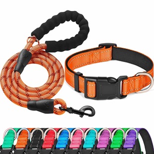 Amazon Retractable Reflective Nylon Ribbon Dog Collar suit Cross Border Pet Products Nylon Collar Dog Rope