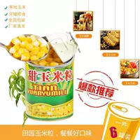 Посылка с доставкой по почте консервированных ядер кукурузы, консервированных сладких фруктов, готовых к употреблению, консервированных нестандартной упаковки кедровых орехов к северо-востоку кусок