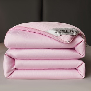 Luxury Xingtongxiang Silk Quilt 100% Mulberry Silk Spring and Autumn Quilt Summer Air Conditioning Quilt Student Quilt Core Mother-Daughter Quilt