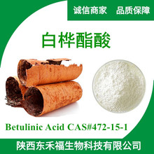 �ט�����98%�ט��Ƥ��ȡ��472-15-1 Betulinic Acid��ľ��1kg