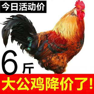 ���u���u�ߵ��u���u���u�r���ߵ��u�Ϲ��u���r���u