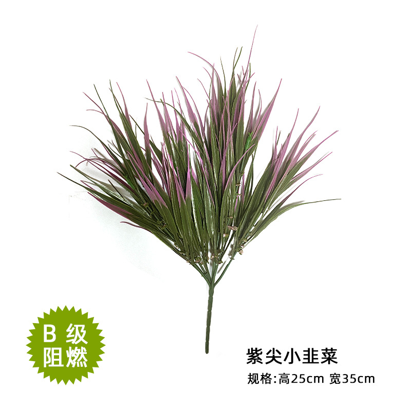 Purple-tip small leeks 25*35cm