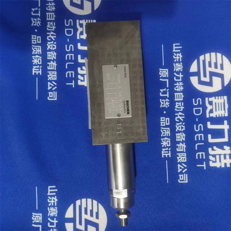 甄选德国制造BUCHER电磁阀-W2N22SR-6AB3-24D供应全系列